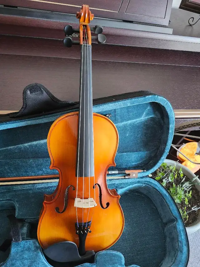 NEW VIOLA PACKAGE - Photo 2