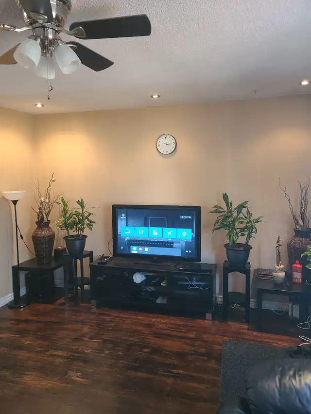 ODSP AND OW ACCEPTED sharing room with roomate available now - Photo 4