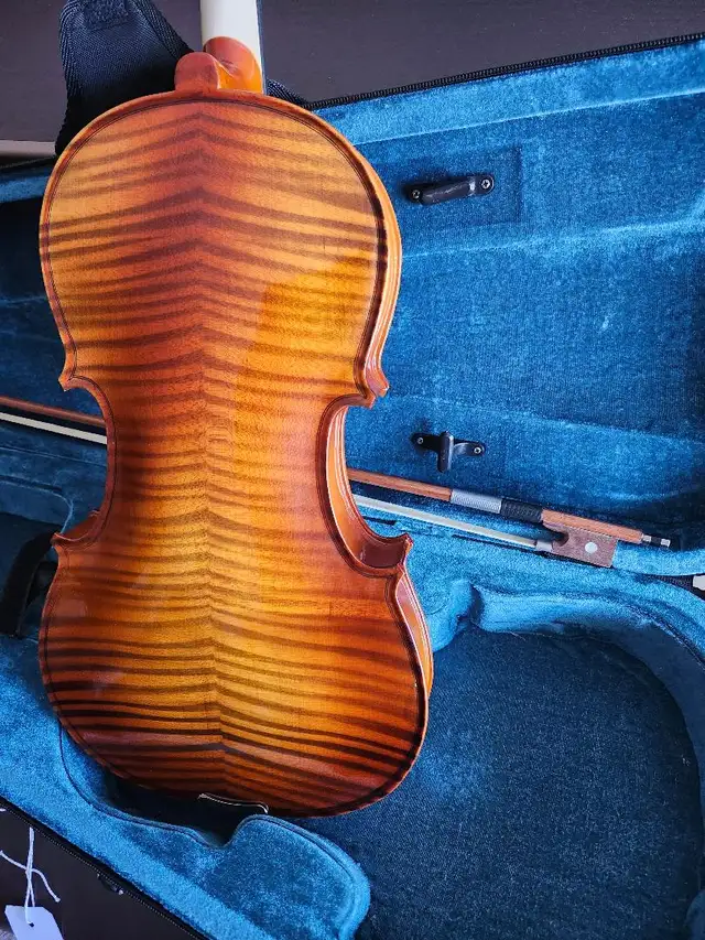 NEW VIOLA PACKAGE - Photo 3
