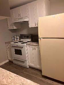 Sherwood Park Basement Suite for Rent Price Reduced! - Photo 3