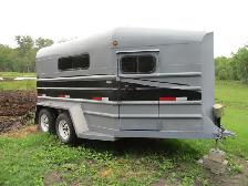2008 Blue Hills - 2 Horse Trailer