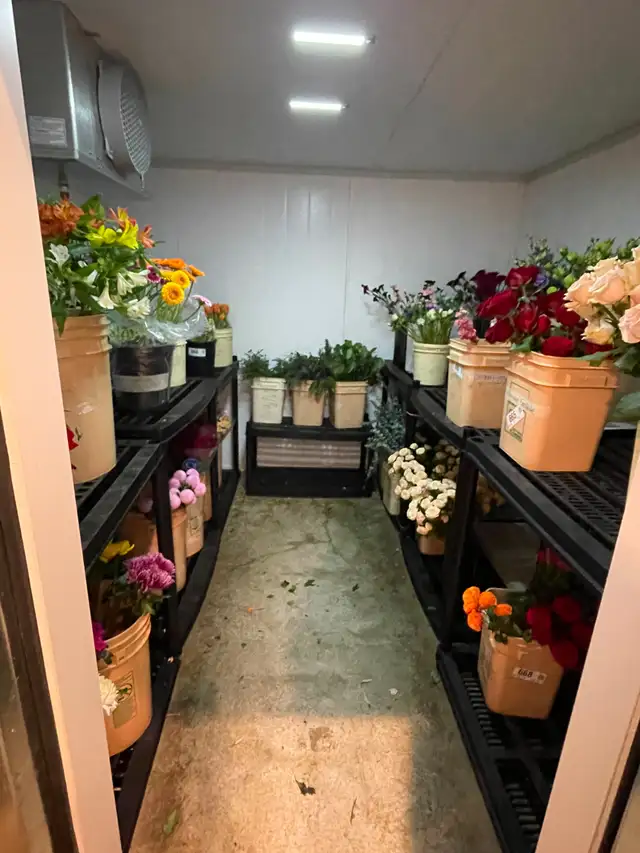 Walk-in Cooler, Pristine Condition - Photo 2