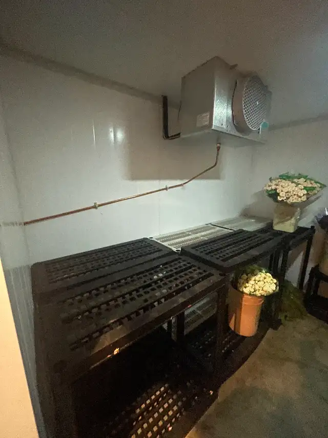 Walk-in Cooler, Pristine Condition - Photo 3