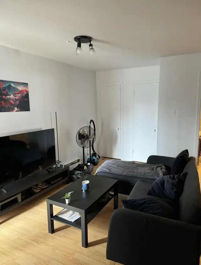 Loft à louer à Ste Foy pour juillet - Photo 7