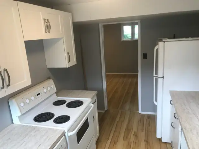 Basement Suite for Rent Newton NE  Edmonton May 1st - Photo 5