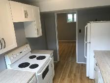 Basement Suite for Rent Newton NE  Edmonton May 1st - Photo 5