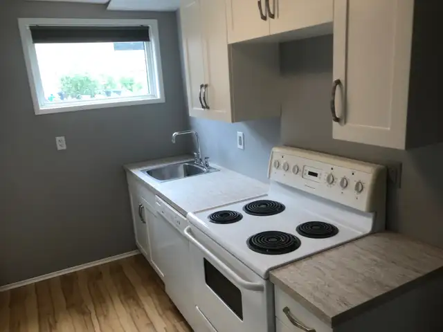 Basement Suite for Rent Newton NE  Edmonton May 1st - Photo 6