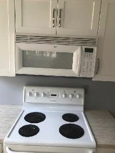 Basement Suite for Rent Newton NE  Edmonton May 1st - Photo 8