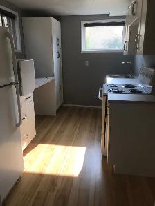 Basement Suite for Rent Newton NE  Edmonton May 1st - Photo 9
