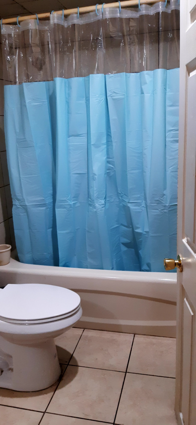 Furnished Room for Rent (Girls) near Sheridan College Brampton - Photo 8