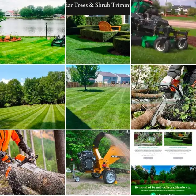 Lawn Mowing & Trimming Services Ottawa - Photo 5