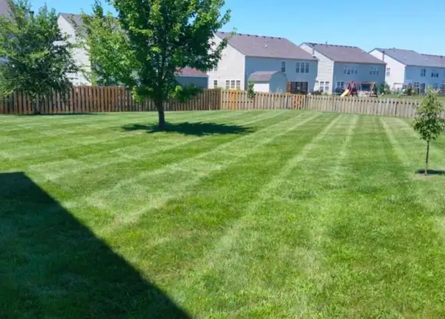 Lawn Mowing & Trimming Services Ottawa - Photo 6