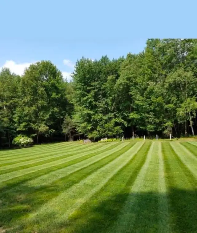 Lawn Mowing & Trimming Services Ottawa - Photo 7