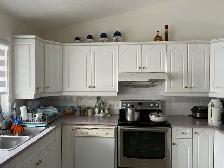 Kitchen Cabinets