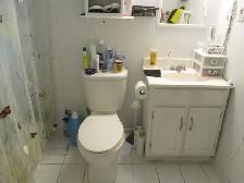 9th Line / Hwy 7 East - 2 Bedroom Basement Apt. - Photo 5