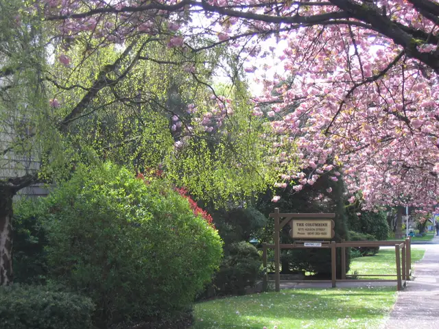 Large 1 Bed near Marple Loop Available