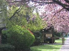 Large 1 Bed near Marple Loop Available