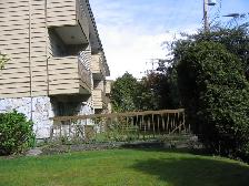 Large 1 Bed near Marple Loop Available - Photo 2