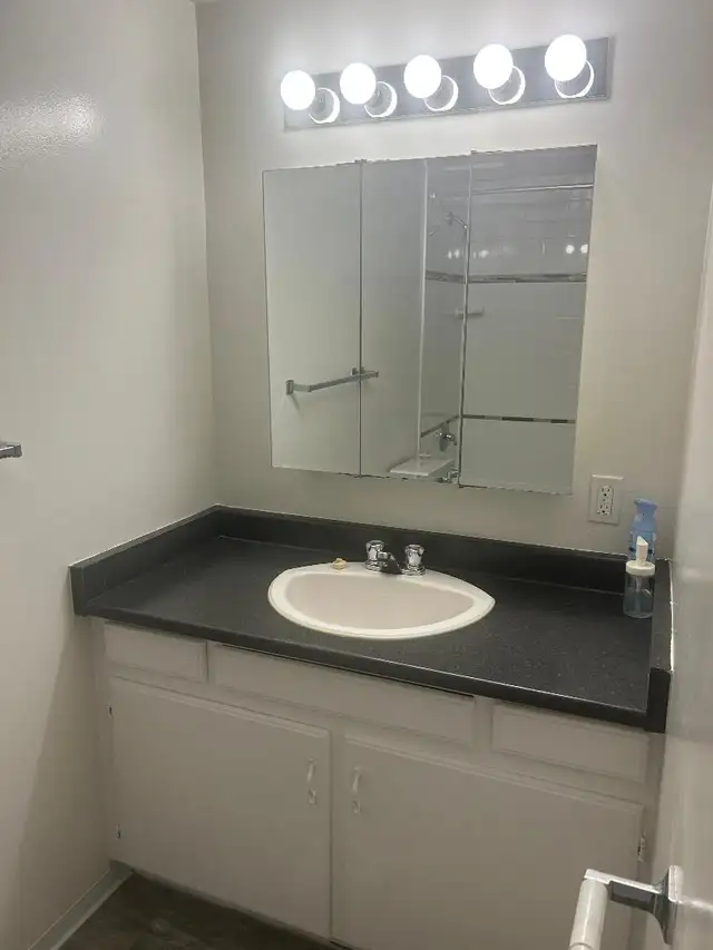 Large 1 Bed near Marple Loop Available - Photo 9