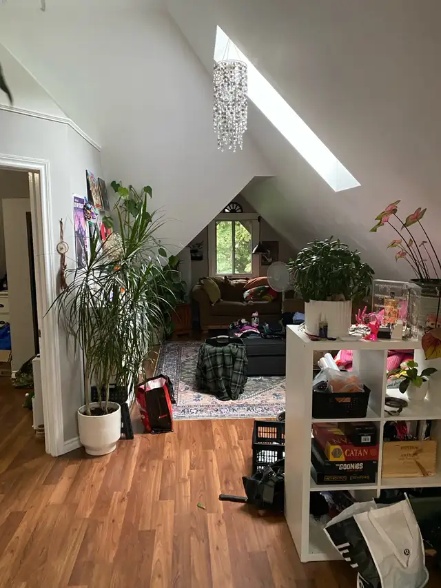 Beautiful 1 bedroom apartment- must see - Photo 8