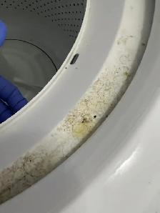 Deep cleaning - Photo 3