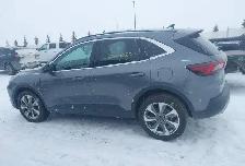 2024 Ford Escape Platinum AWD