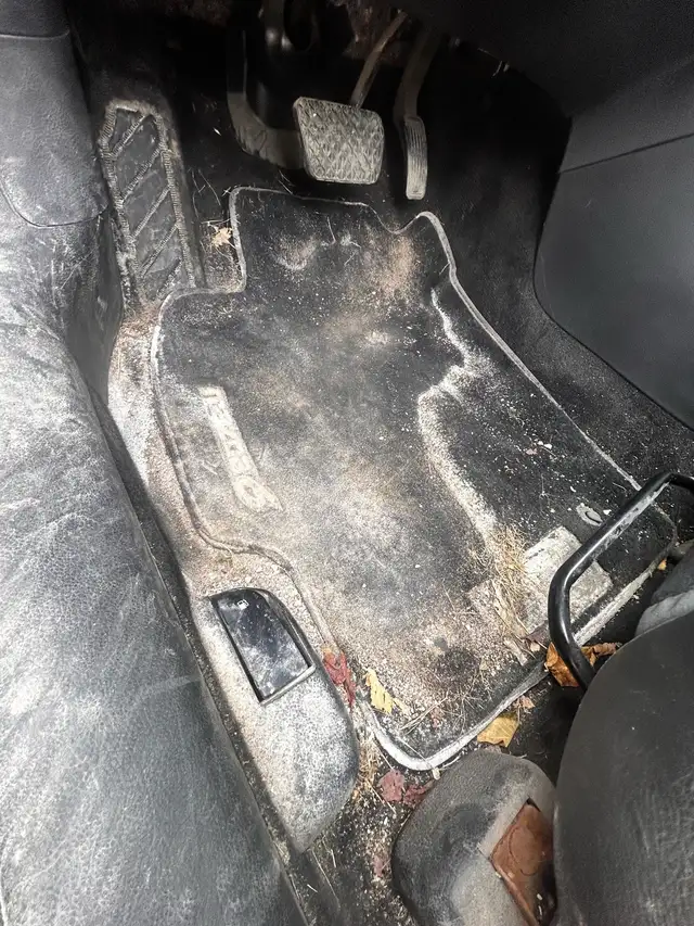 home cleaning - Photo 3