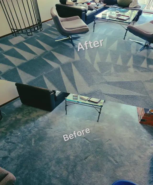 Professsional Carpet cleaning 403-667-1663 - Photo 4