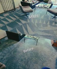 Professsional Carpet cleaning 403-667-1663 - Photo 4