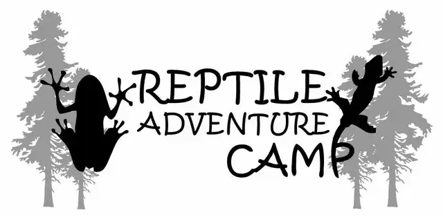 Camp Counsellor - Photo 2