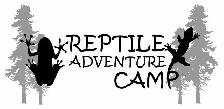 Camp Counsellor - Photo 2