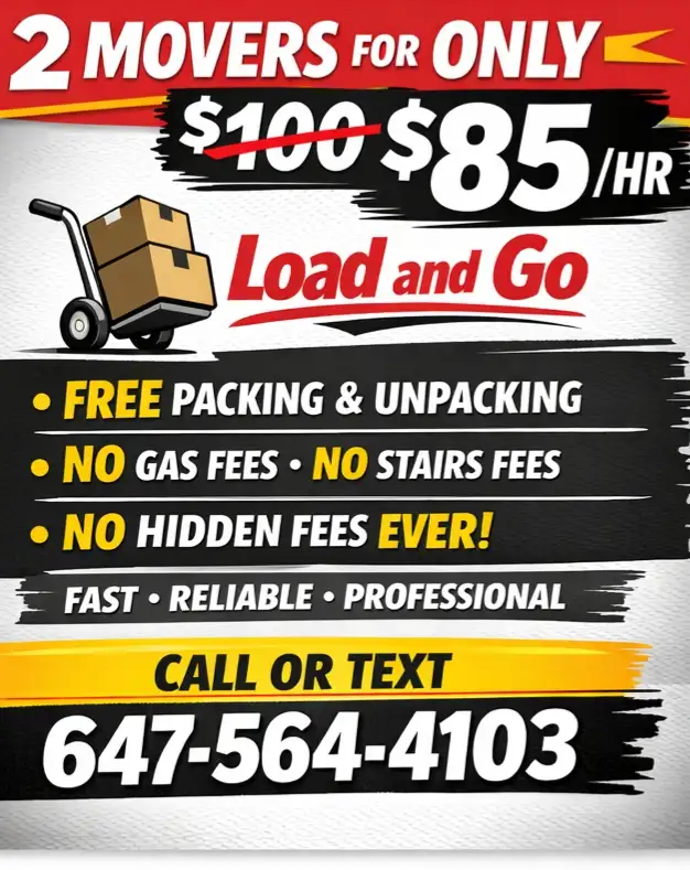 45$/h cheap professional movers
