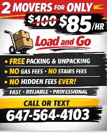 45$/h cheap professional movers