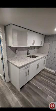 2 bedroom basement suite forest lawn - Photo 2