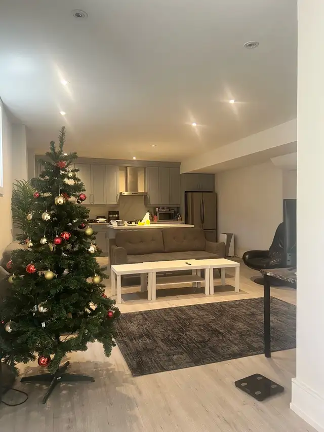 High ceiling Basement Pvt. room - Photo 2