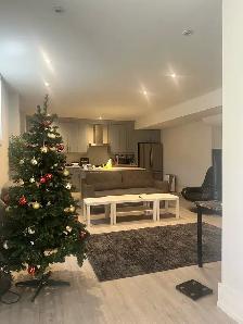 High ceiling Basement Pvt. room - Photo 2