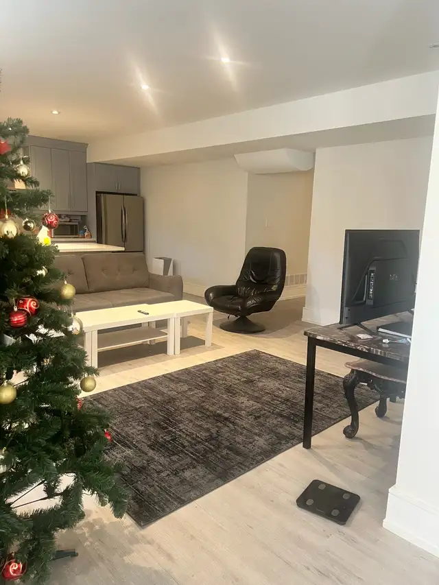 High ceiling Basement Pvt. room - Photo 3