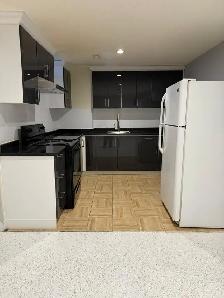 Spacious Basement Fully Renovated for Rent Available Immediately - Photo 7