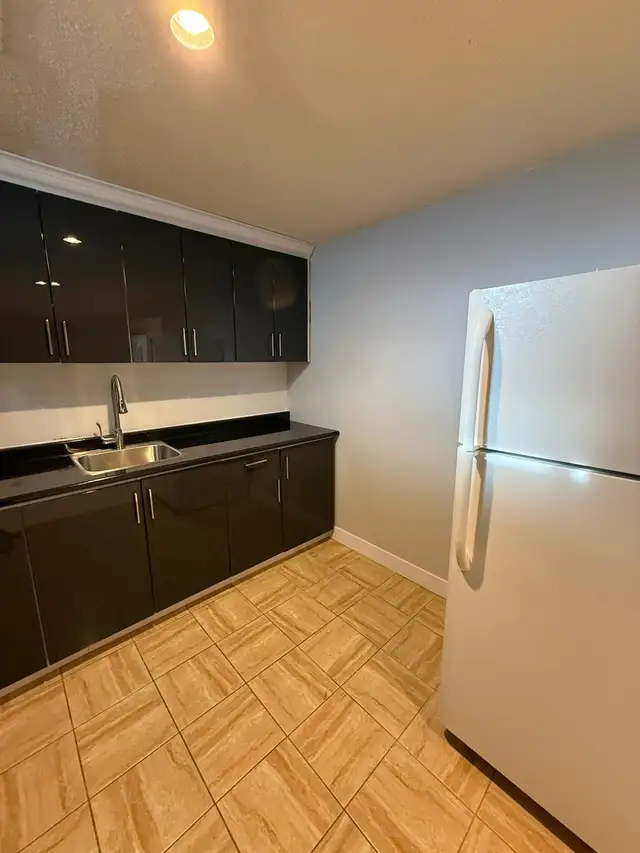 Spacious Basement Fully Renovated for Rent Available Immediately - Photo 11