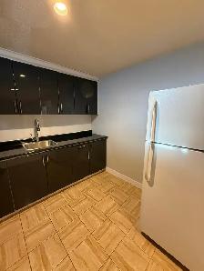 Spacious Basement Fully Renovated for Rent Available Immediately - Photo 11