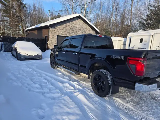 2024 Ford F-150 XLT 4WD SuperCrew 6.5' Box - Photo 2