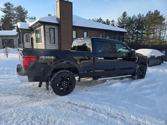 2024 Ford F-150 XLT 4WD SuperCrew 6.5' Box - Photo 3