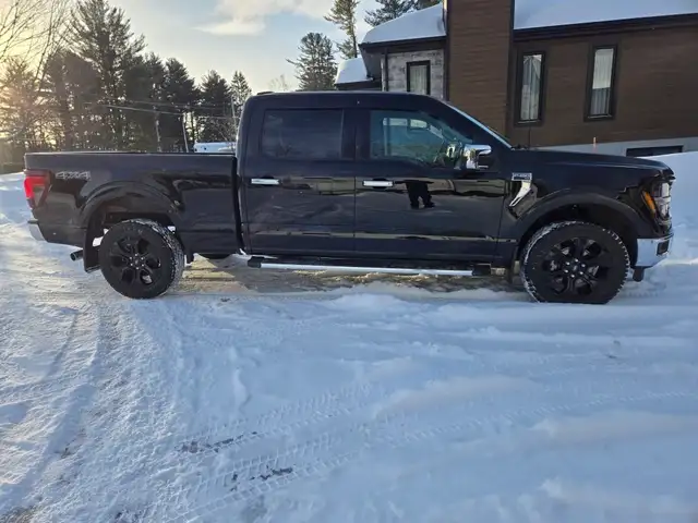 2024 Ford F-150 XLT 4WD SuperCrew 6.5' Box - Photo 4
