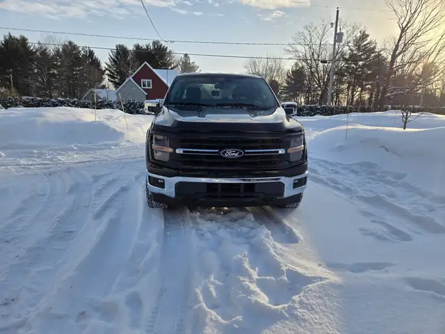 2024 Ford F-150 XLT 4WD SuperCrew 6.5' Box - Photo 5