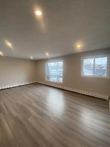 RENOVATED ONE BEDROOM APARTMENT IN FAIRVIEW - 7 RUFUS AVENUE - Photo 2