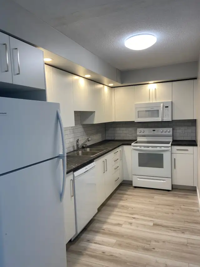 NEWLY RENOVATED ONE BEDROOM AVAILABLE AT 40 ROSE STREET