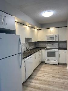NEWLY RENOVATED ONE BEDROOM AVAILABLE AT 40 ROSE STREET