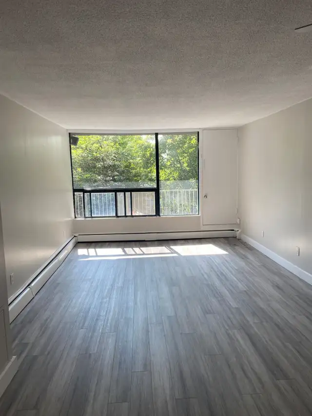 NEWLY RENOVATED ONE BEDROOM AVAILABLE AT 40 ROSE STREET - Photo 2