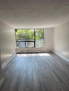 NEWLY RENOVATED ONE BEDROOM AVAILABLE AT 40 ROSE STREET - Photo 2