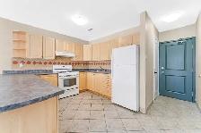 Baseline Court - 1 Junior for Rent in Ottawa